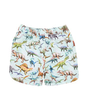 Load image into Gallery viewer, Rex Print Boardshorts 3-10YRS
